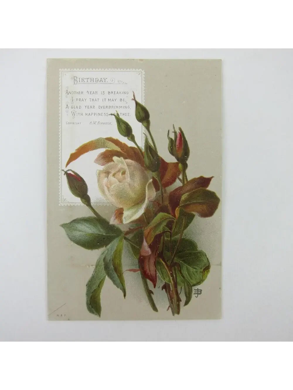 Victorian Greeting Card Birthday White & Pink Roses Flowers Antique
